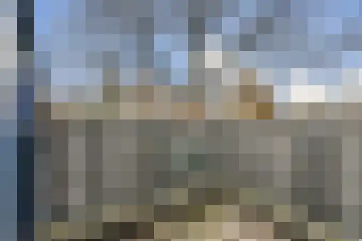 Soeteliefskamp 56 Hendrik-Ido-Ambacht thumbnail 8
