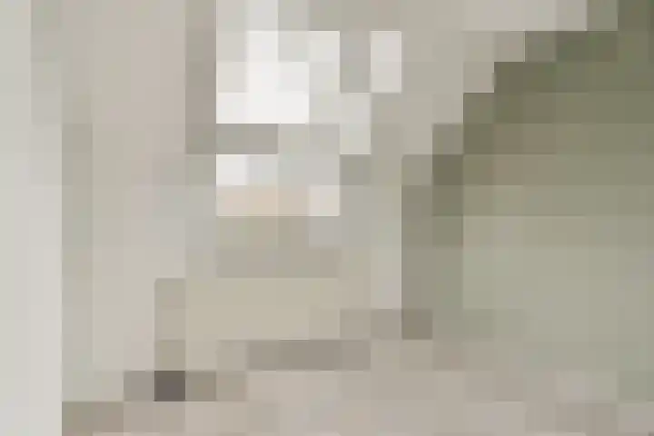 Soeteliefskamp 56 Hendrik-Ido-Ambacht thumbnail 9