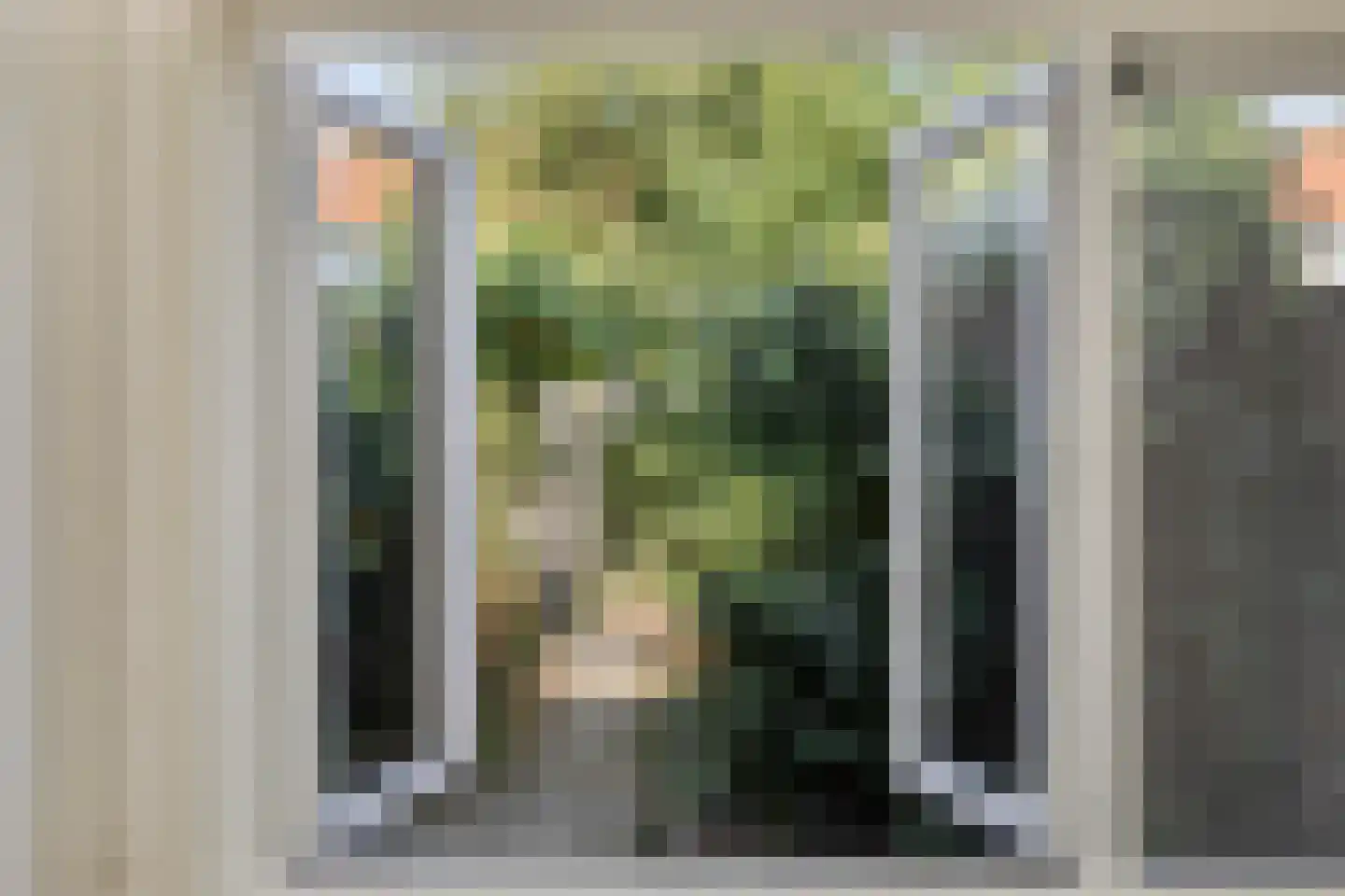 Soetemanstraat 23 Beverwijk thumbnail 6