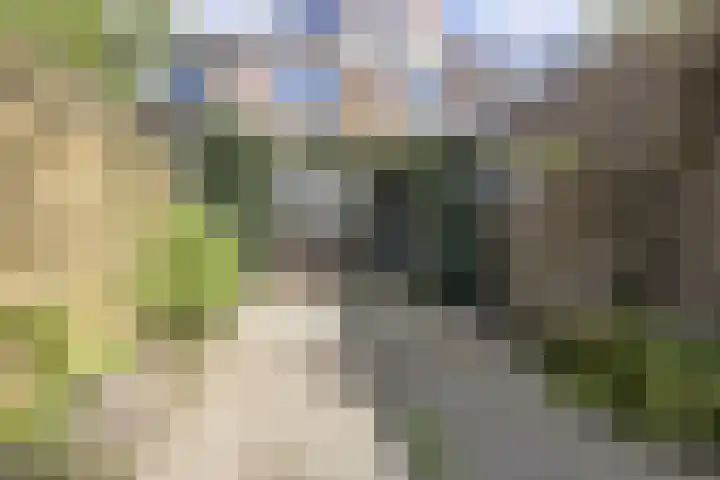 Soetemanstraat 8 Beverwijk thumbnail 14