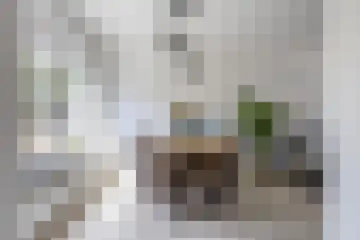Soetemanstraat 8 Beverwijk thumbnail 8