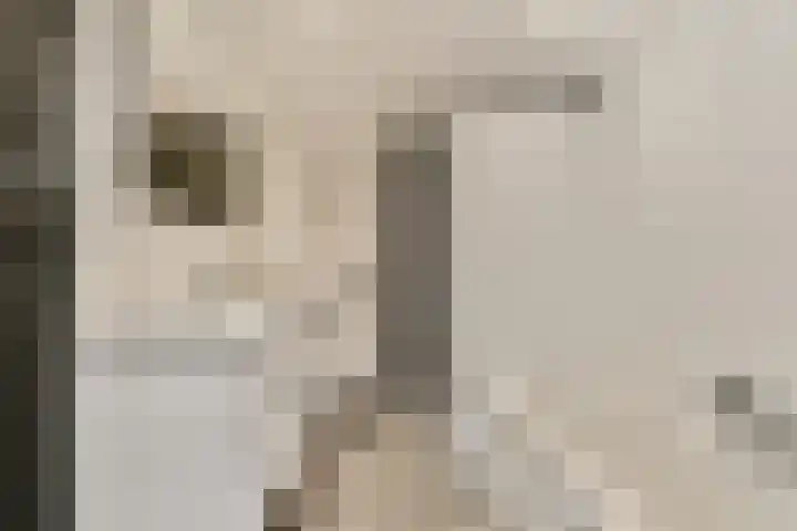 Soetendaal 106 Amsterdam thumbnail 18