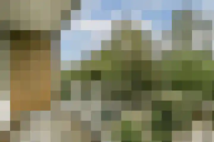 Soetendaal 106 Amsterdam thumbnail 24