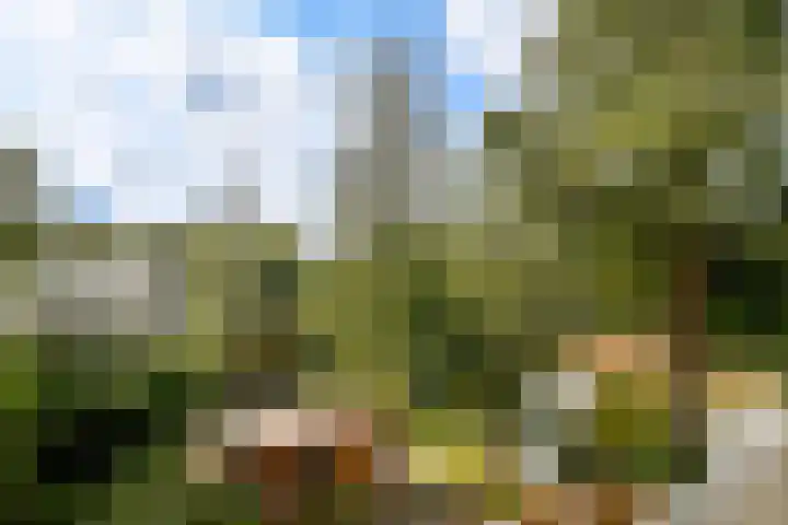 Soetendaal 106 Amsterdam thumbnail 27