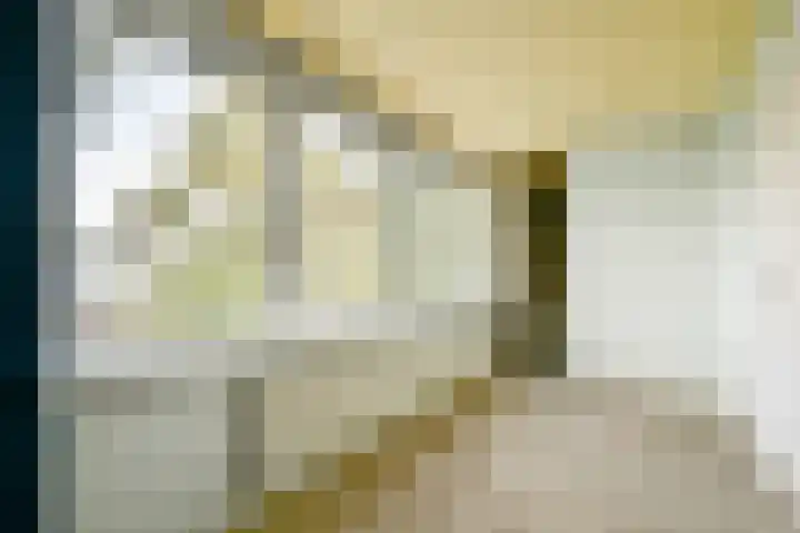 Soetendaal 106 Amsterdam thumbnail 30
