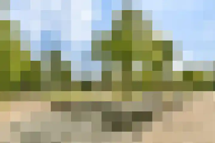 Soetendaal 106 Amsterdam thumbnail 36