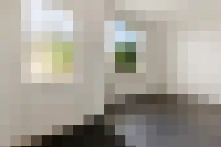 Soetendaal 110 Amsterdam thumbnail 15