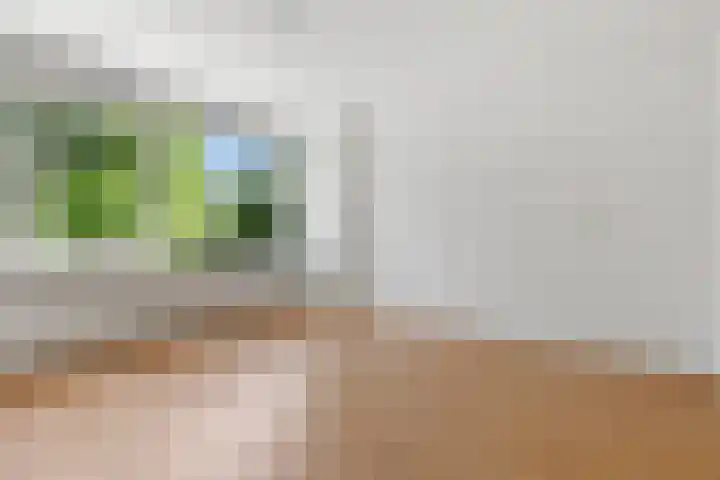 Soetendaal 110 Amsterdam thumbnail 19