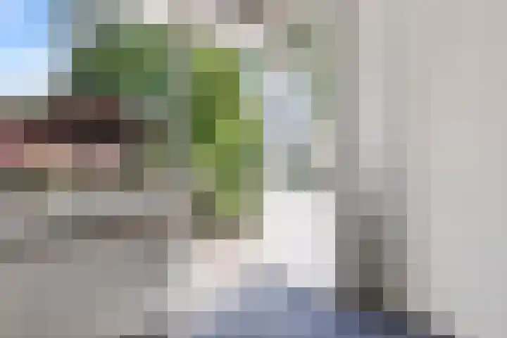Soetendaal 110 Amsterdam thumbnail 26