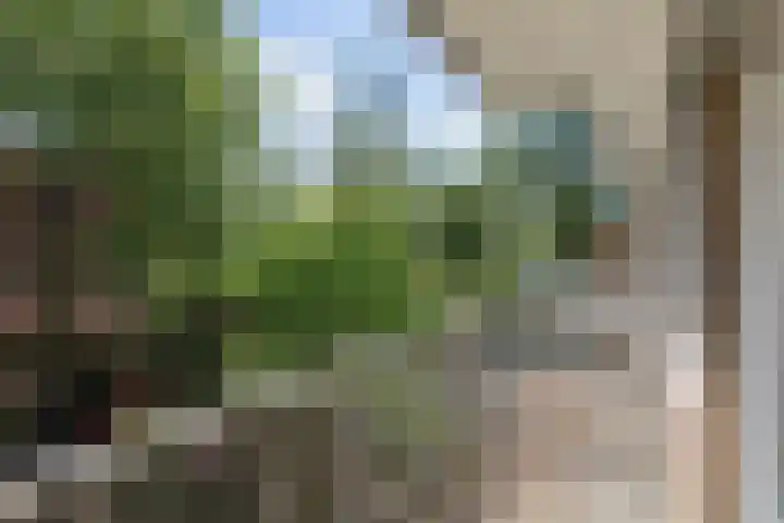 Soetendaal 110 Amsterdam thumbnail 27