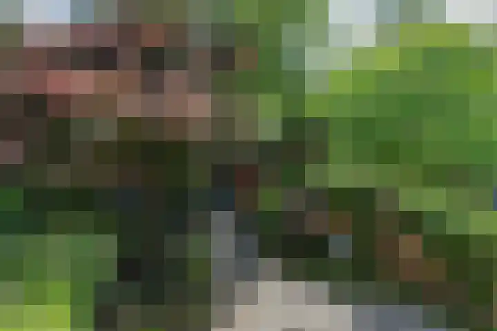 Soetendaal 110 Amsterdam thumbnail 30