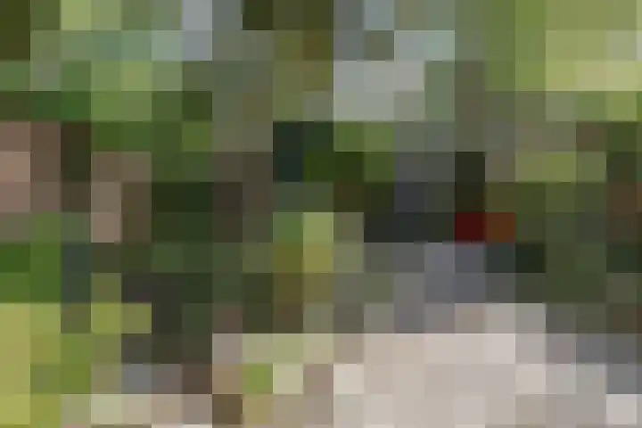 Soetendaal 110 Amsterdam thumbnail 48