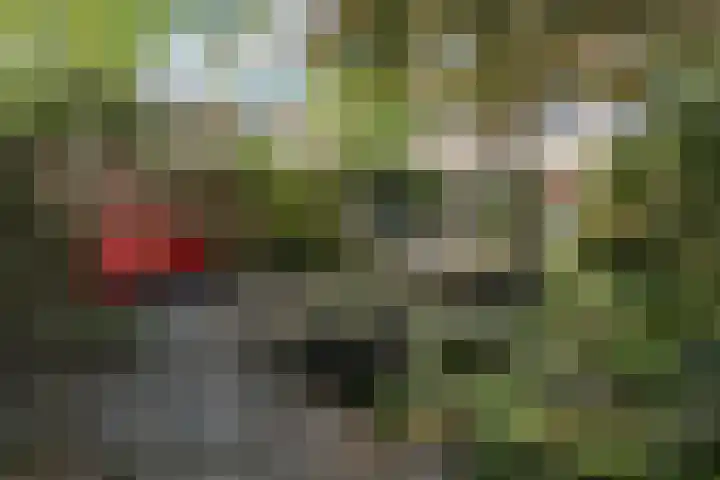Soetendaal 110 Amsterdam thumbnail 49