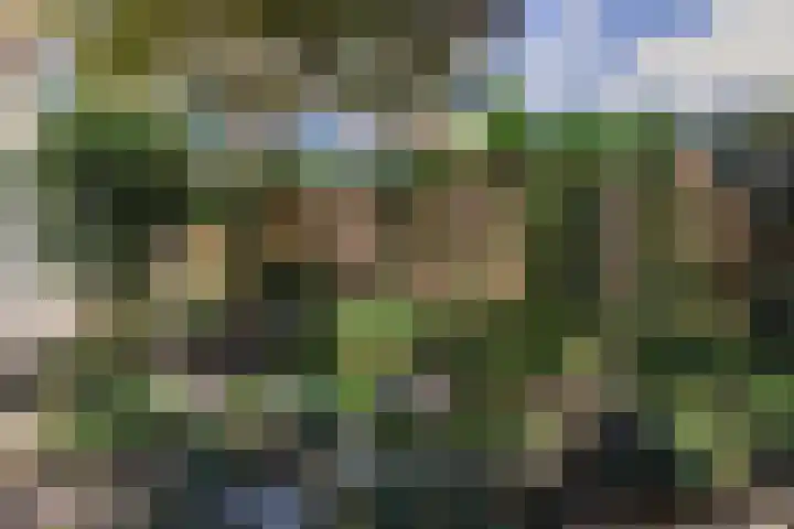 Soetendaal 110 Amsterdam thumbnail 50
