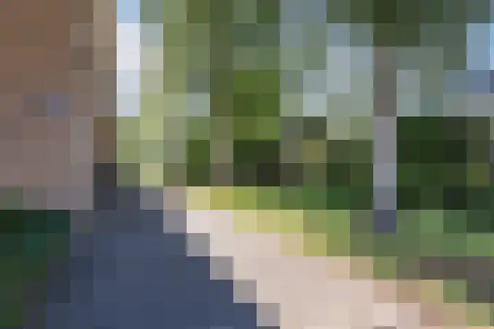 Soetendaal 110 Amsterdam thumbnail 51