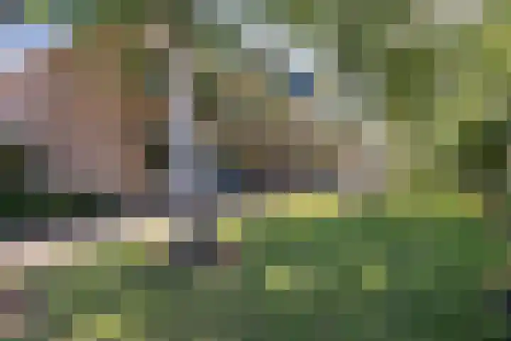 Soetendaal 110 Amsterdam thumbnail 52