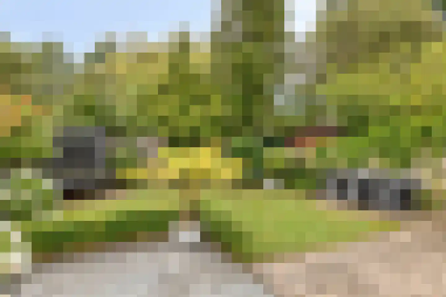 Soetendaal 21 Eindhoven thumbnail 29