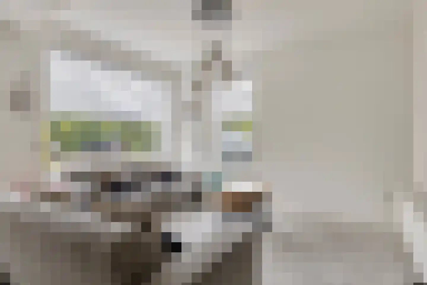 Soetendaal 21 Eindhoven thumbnail 8