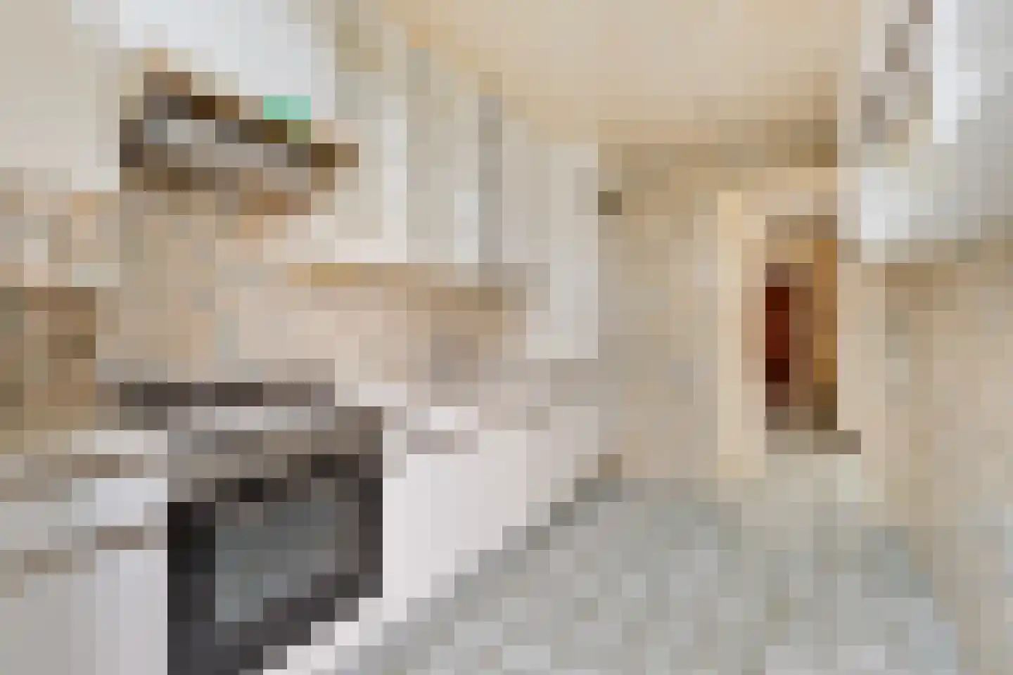 Soetendaal 67 Amsterdam thumbnail 19