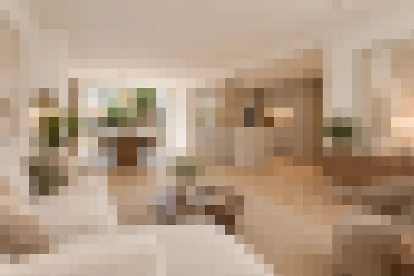 Soetendaal 67 Amsterdam thumbnail 4
