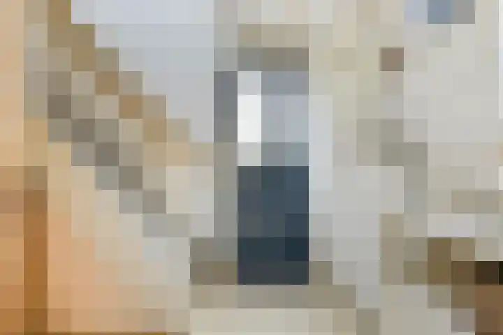 Soetendaal 8 Vierlingsbeek thumbnail 16