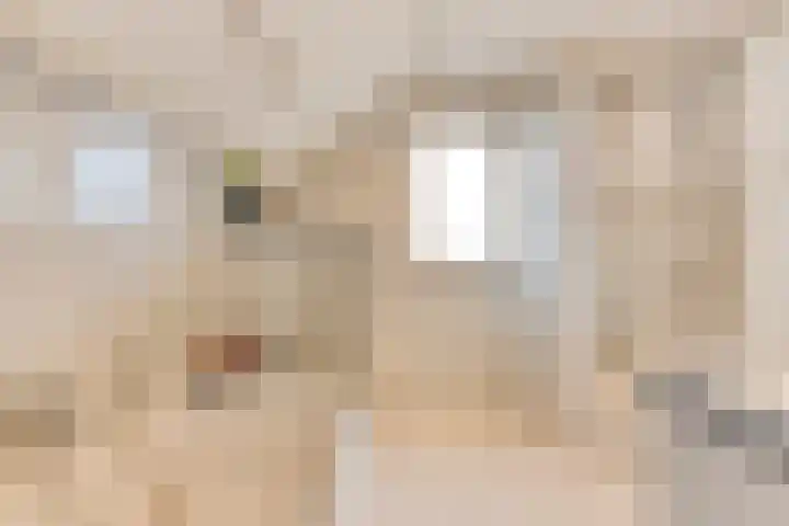 Soetendaal 8 Vierlingsbeek thumbnail 22