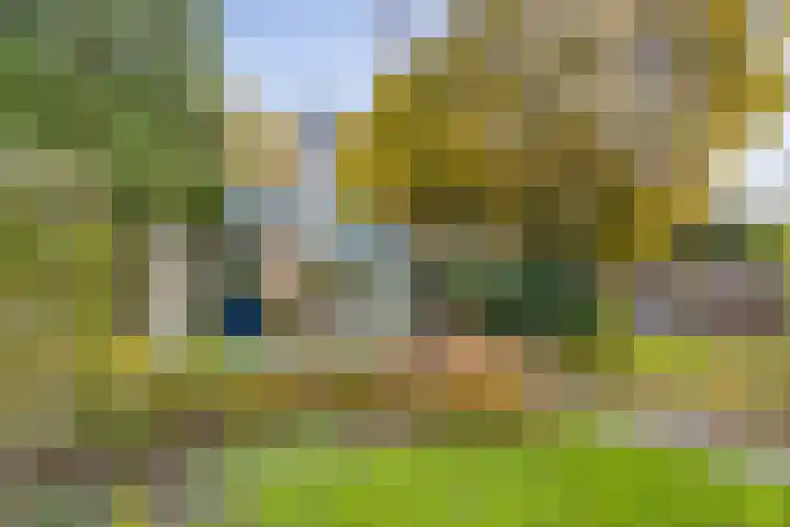 Soetendaal 8 Vierlingsbeek thumbnail 28