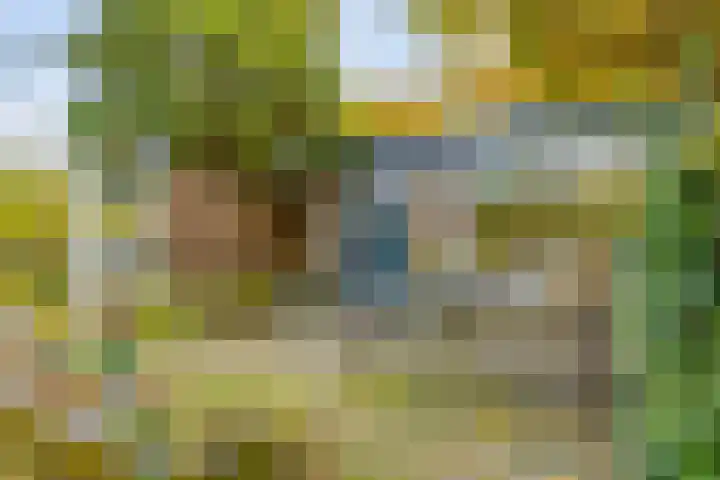Soetendaal 8 Vierlingsbeek thumbnail 29