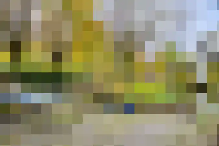Soetendaal 8 Vierlingsbeek thumbnail 30