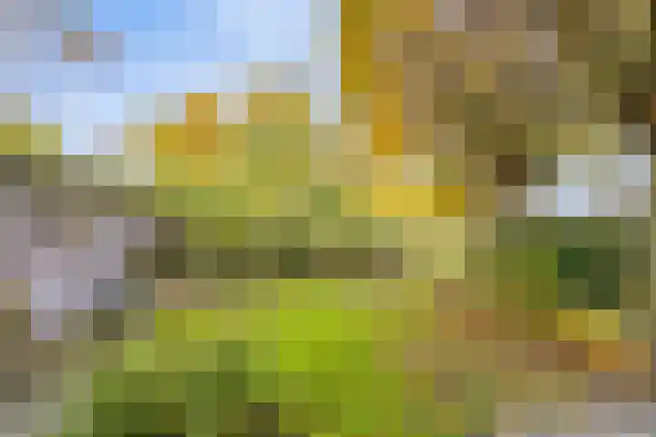 Soetendaal 8 Vierlingsbeek thumbnail 31