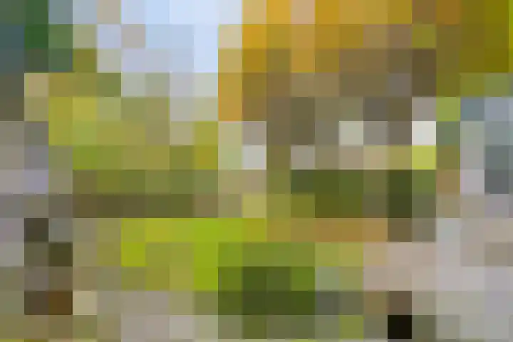 Soetendaal 8 Vierlingsbeek thumbnail 32