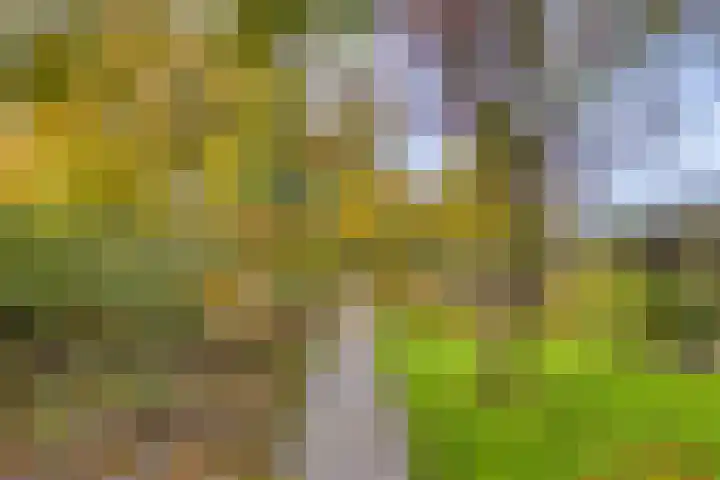 Soetendaal 8 Vierlingsbeek thumbnail 34