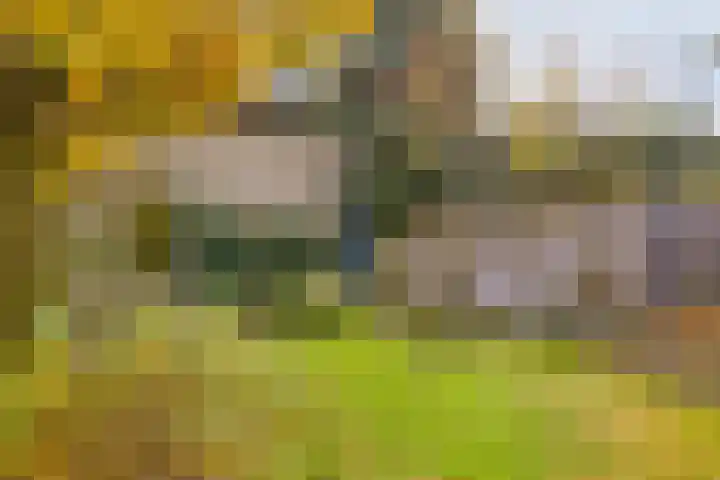 Soetendaal 8 Vierlingsbeek thumbnail 35