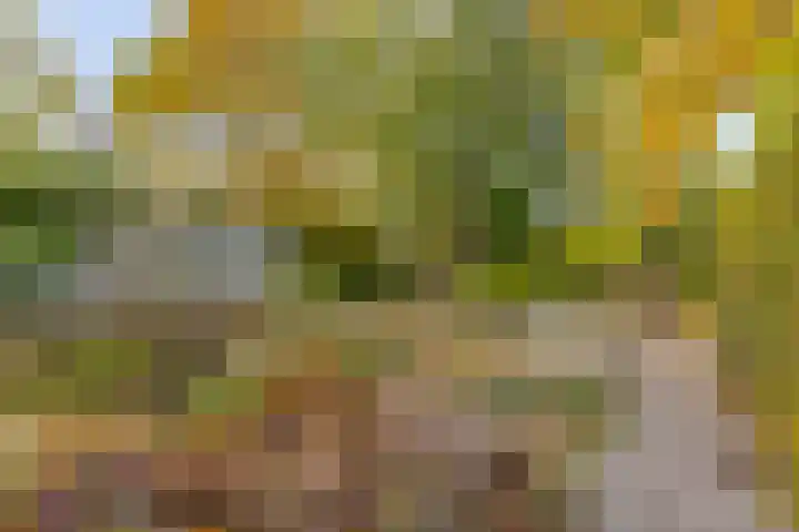 Soetendaal 8 Vierlingsbeek thumbnail 37