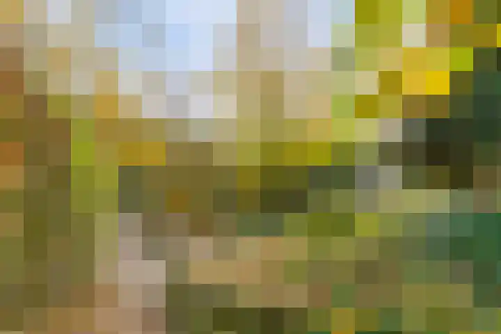 Soetendaal 8 Vierlingsbeek thumbnail 38