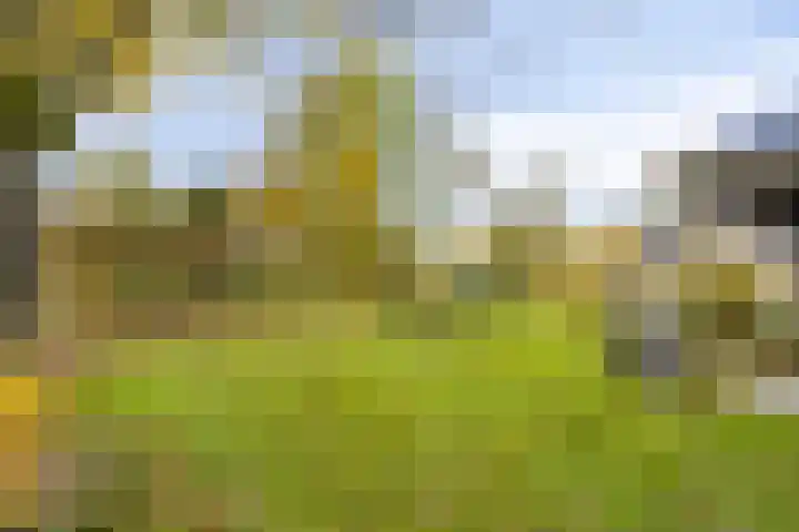 Soetendaal 8 Vierlingsbeek thumbnail 41