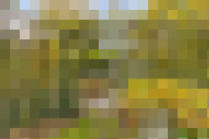 Soetendaal 8 Vierlingsbeek thumbnail 44