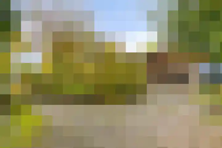 Soetendaal 8 Vierlingsbeek thumbnail 45