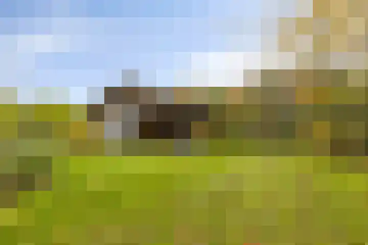 Soetendaal 8 Vierlingsbeek thumbnail 46