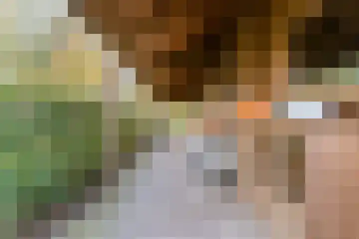 Soetendaal 8 Vierlingsbeek thumbnail 47