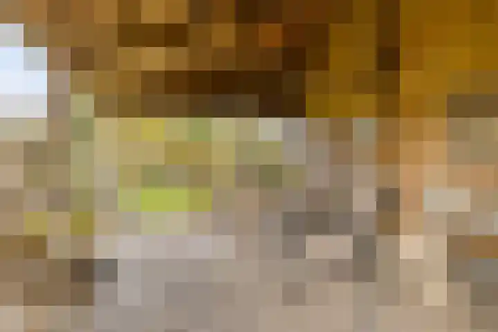 Soetendaal 8 Vierlingsbeek thumbnail 48