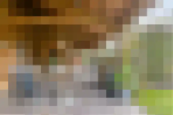 Soetendaal 8 Vierlingsbeek thumbnail 49