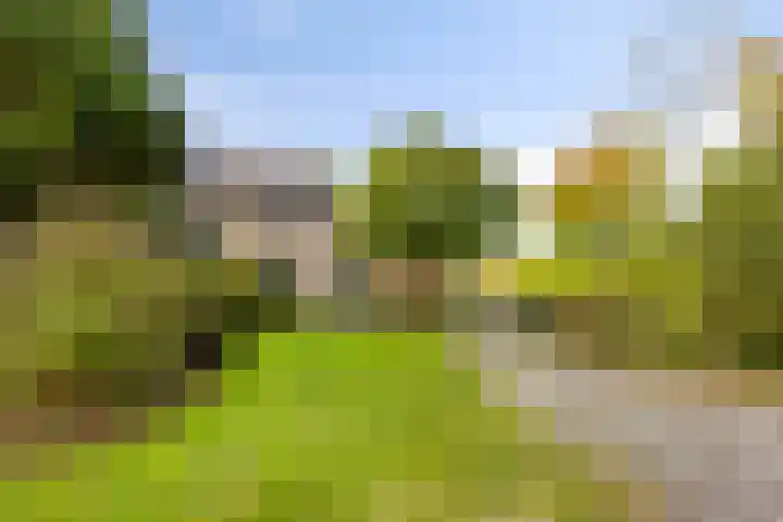 Soetendaal 8 Vierlingsbeek thumbnail 57