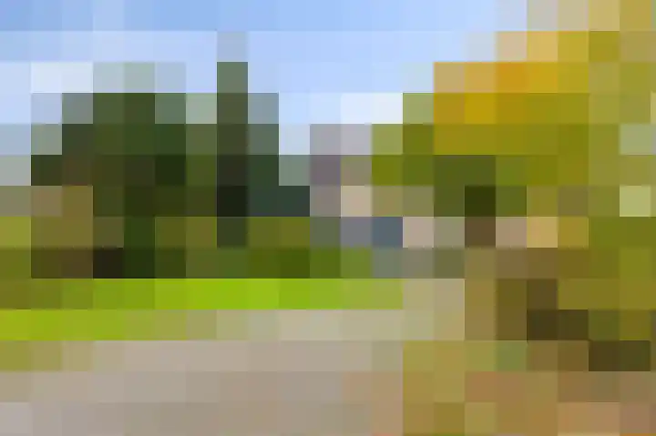 Soetendaal 8 Vierlingsbeek thumbnail 58