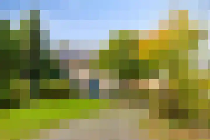 Soetendaal 8 Vierlingsbeek thumbnail 59