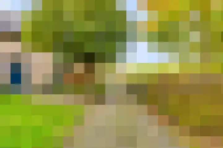 Soetendaal 8 Vierlingsbeek thumbnail 61