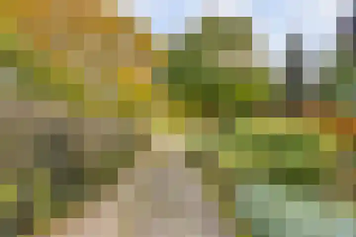Soetendaal 8 Vierlingsbeek thumbnail 62