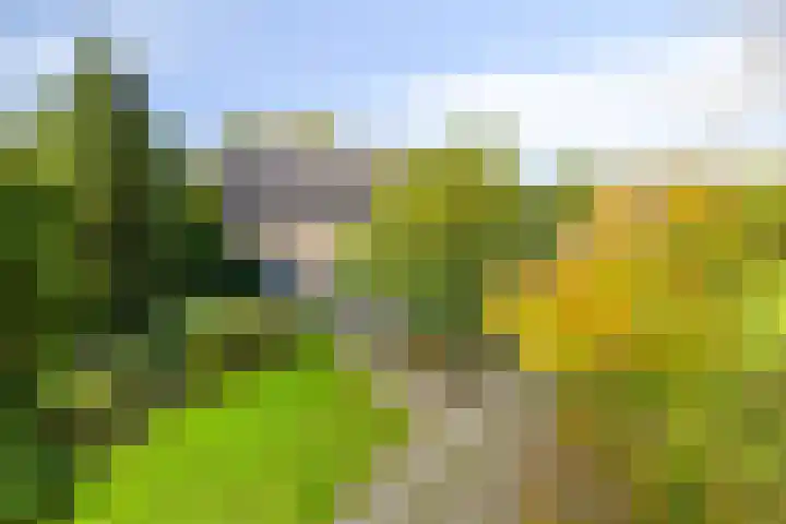 Soetendaal 8 Vierlingsbeek thumbnail 63