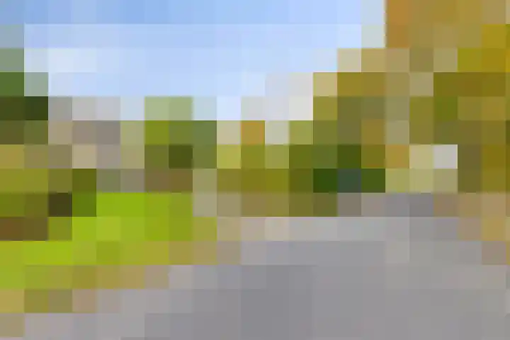 Soetendaal 8 Vierlingsbeek thumbnail 64