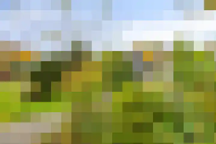 Soetendaal 8 Vierlingsbeek thumbnail 65